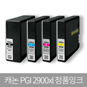 캐논 CANON PGI 2900 정품잉크